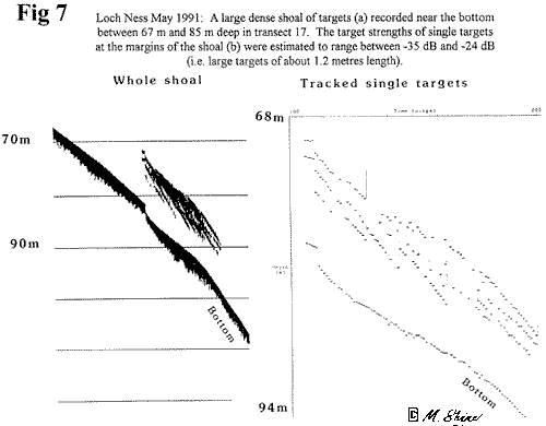 Loch Ness Large Dense Shoal of Targets Recorded Near the Bpttpm between 67m and 85m Deep