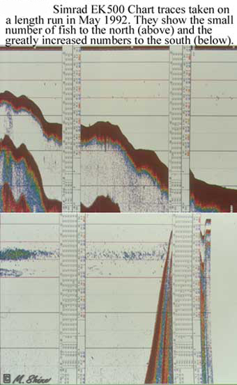 Loch Ness Simrad EK5000 Chart Traces on Length Run