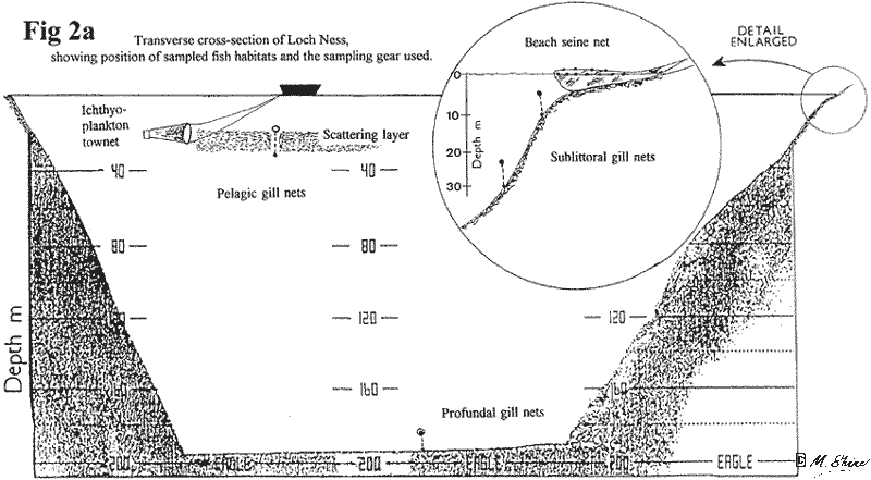 Loch Ness Transverse Cross-section Showibg Position of Sampled Fish Habitats and the Sampling Gear Used