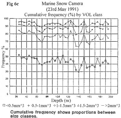 Loch Ness Marine Snow Camera 