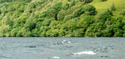 Loch Ness Shoreline and Crash Site Area